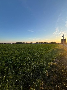 Foto Terreno agricolo a Pegognaga di 2330 m² in vendita