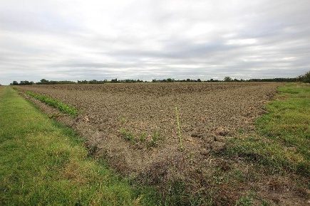 Foto Terreno agricolo in VIA PUNTA 13, Bologna Aeroporto di 54589 m²