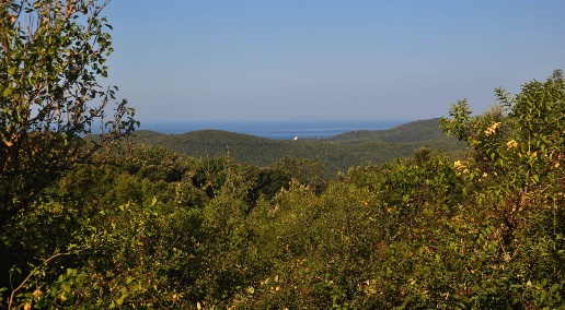 Foto Terreno agricolo in Via Sgarallino, Rosignano Marittimo di 22770 m²
