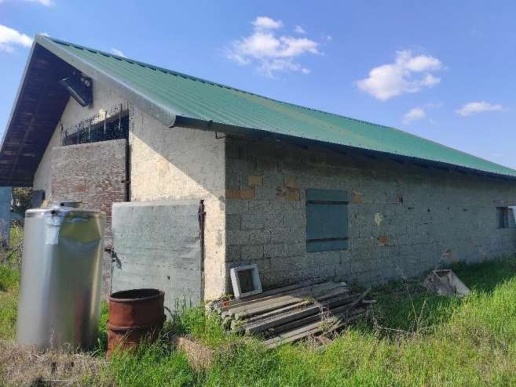 immagine annuncio 8 di 15