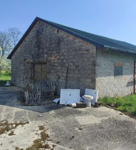 immagine annuncio 11 di 15