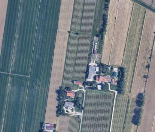 immagine annuncio 14 di 15