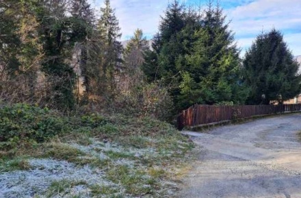 Foto Terreno agricolo in Via Camarelli, San Giovanni Bianco di 11625 m²
