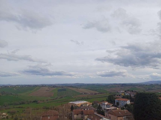 immagine annuncio 5 di 6