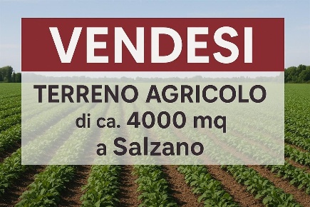 Foto Terreno agricolo a Salzano di 4000 m² in vendita
