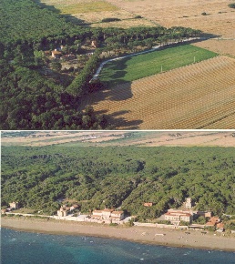 Foto Agriturismo in via località sant'uberto bolgheri 1, di 2300 m²