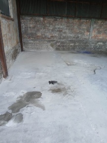 Foto Magazzino in PIAZZALE GAR, Venezia Marghera - Catene di 98 m²