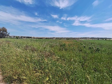 Foto Terreno agricolo a Avetrana di 504 m² in vendita