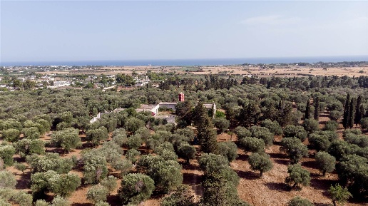 Foto Rustico in Contrada Cavaliere, Maruggio di 2200 m² con 50 locali