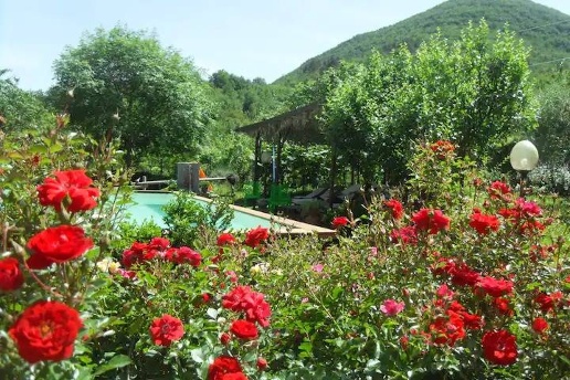 immagine annuncio 6 di 15