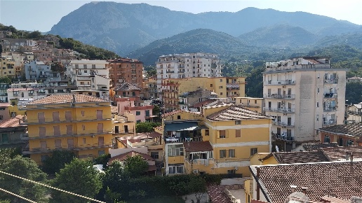 immagine annuncio 11 di 14