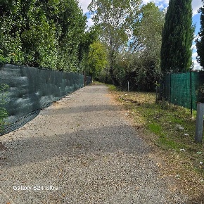 Foto Terreno agricolo a Prato San Giusto di 1000 m² in vendita