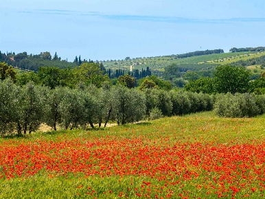 Foto Appartamento in Podere San Francesco 34, Massa Marittima di 84 m²