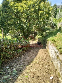 Foto Villa bifamiliare a Camaiore Camaiore Paese di 200 m² con 11 locali