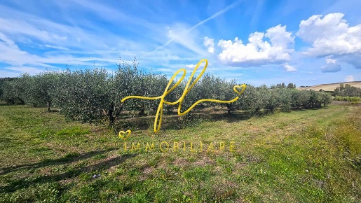 Foto Terreno agricolo a Rosignano Marittimo Rosignano Marittimo Paese