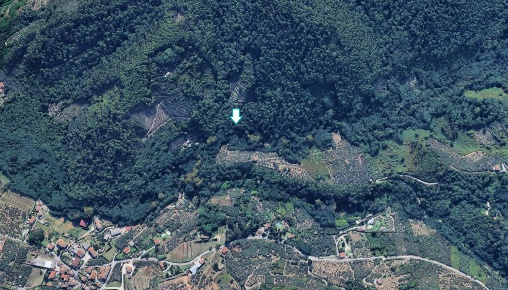 Foto Terreno agricolo a Buti Colle di Compito - Castelvecchio di 11150 m²