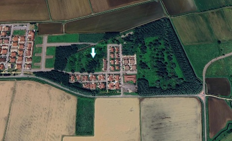Foto Terreno agricolo a Roncaro di 12689 m² in vendita