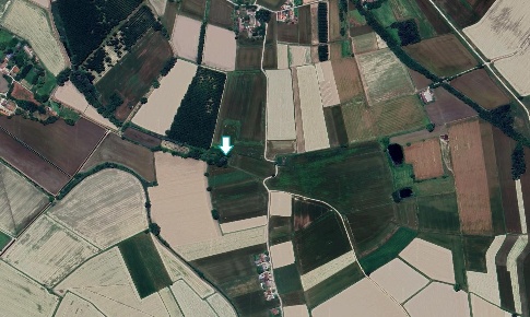 Foto Terreno agricolo a Cava Manara di 22075 m² in vendita