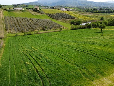 Foto Terreno agricolo in Contrada Ripacorbaria, Manoppello di 16000 m²