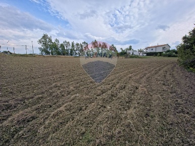 Foto Terreno residenziale in c.da Pezze, San Marco Argentano di 5462 m²