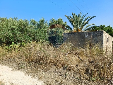 Foto Terreno agricolo in contrada Baracchino, Noto di 6976 m² in vendita