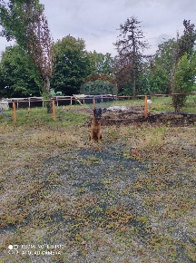 Foto Cessione attività in Via padana superiore, Inzago di 8000 m²