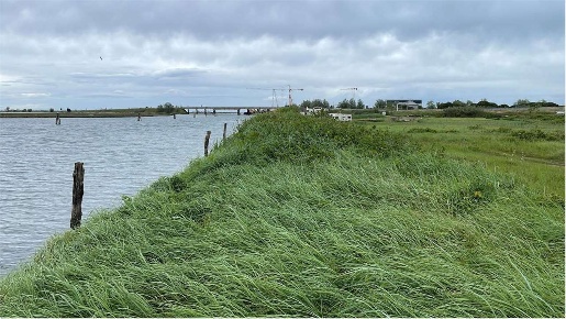 Foto Terreno agricolo in Val da rio sud, Chioggia di 6450 m² in vendita