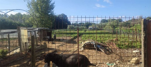 Foto Terreno agricolo in via casine 122, Casciana Terme Lari di 2250 m²