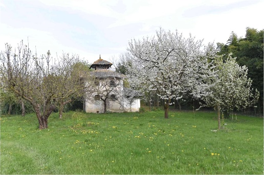 immagine annuncio 9 di 15