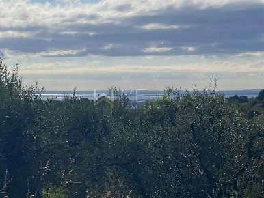 Foto Terreno edificabile a Puegnago del Garda di 8000 m² in vendita