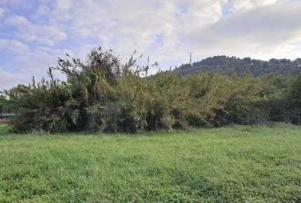 Foto Terreno agricolo in Via Solferino, Pesaro Villa San Martino in vendita