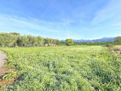 Foto Terreno agricolo a Viareggio Piano di Mommio di 1865 m² in vendita