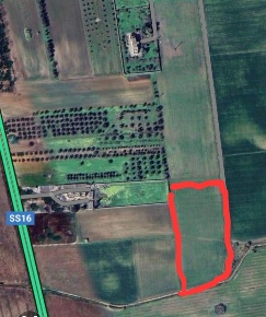 Foto Terreno agricolo a Brindisi Montenegro di 20060 m² in vendita