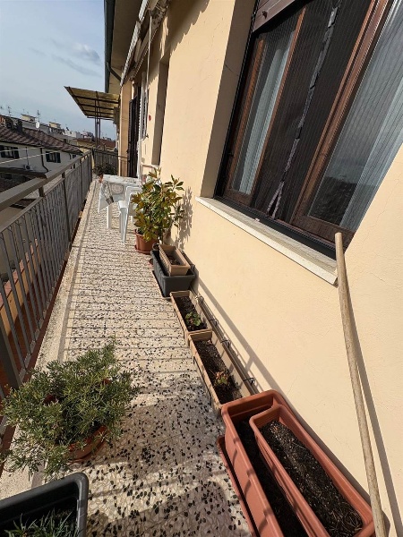 immagine annuncio 6 di 12