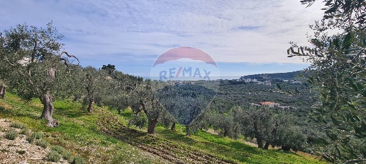 Foto Terreno agricolo in Località Grotta Spagnola, Vieste Marchionna