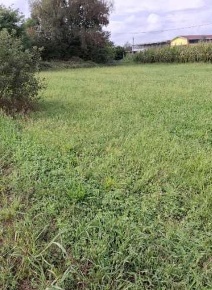 Foto Terreno agricolo in Frazione Cortereggio, San Giorgio Canavese