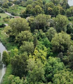 Foto Terreno edificabile in Viale Poggio Reale, Mantova di 49522 m²