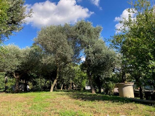 immagine annuncio 5 di 14