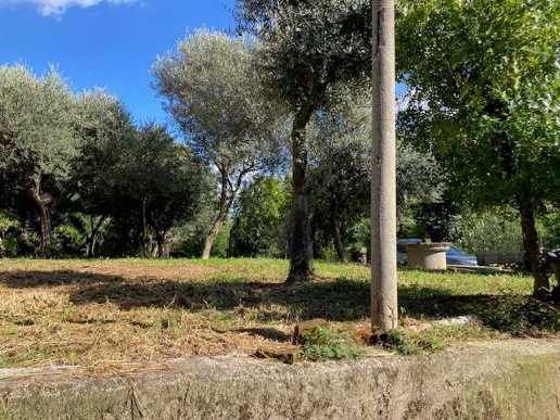 immagine annuncio 6 di 14