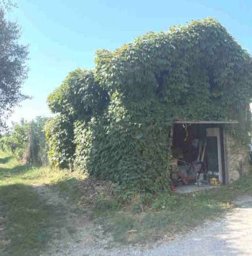 immagine annuncio 11 di 15