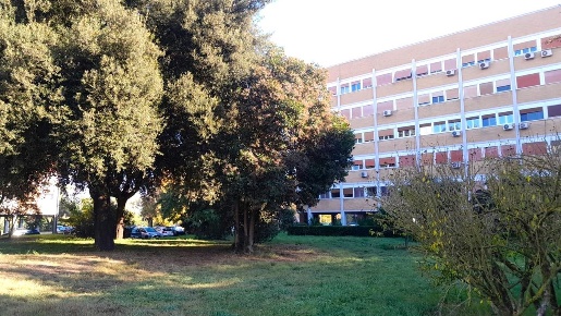 Foto Appartamento a Roma di 120 m² con 4 locali in affitto