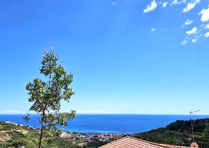 Foto Terreno residenziale in poggio, Castellaro di 4000 m² in vendita