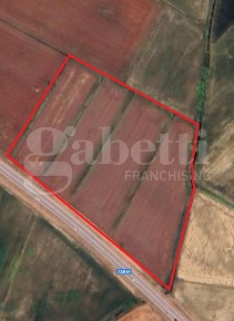Foto Terreno agricolo a Codevigo di 23010 m² in vendita