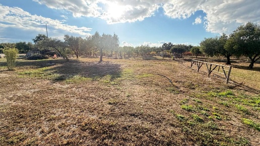 Foto Terreno agricolo in carrÃ, Lamezia Terme Carrà di 2000 m² in vendita