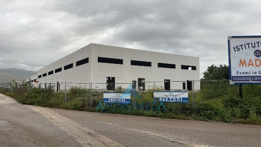 Foto Capannone industriale a Pignataro Maggiore di 11500 m² con 6 locali
