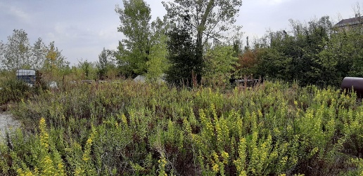 Foto Terreno residenziale in parco piaggio, Chieti Chieti Scalo di 9150 m²