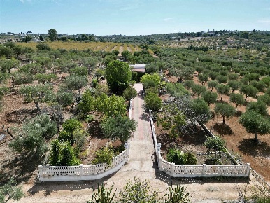 Foto Villa unifamiliare a Monopoli di 71 m² con 3 locali in vendita
