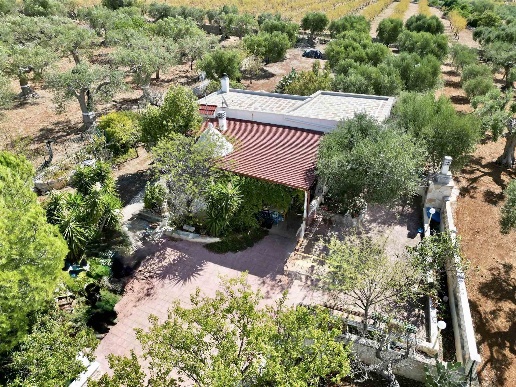 immagine annuncio 10 di 15