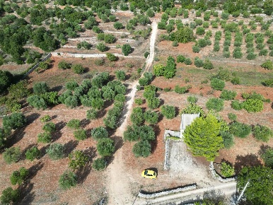 Foto Rustico a Monopoli di 51 m² con 1 locali in vendita