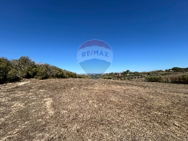 Foto Terreno agricolo in Contrada Carrata- Fondo Fico, Pachino Centro